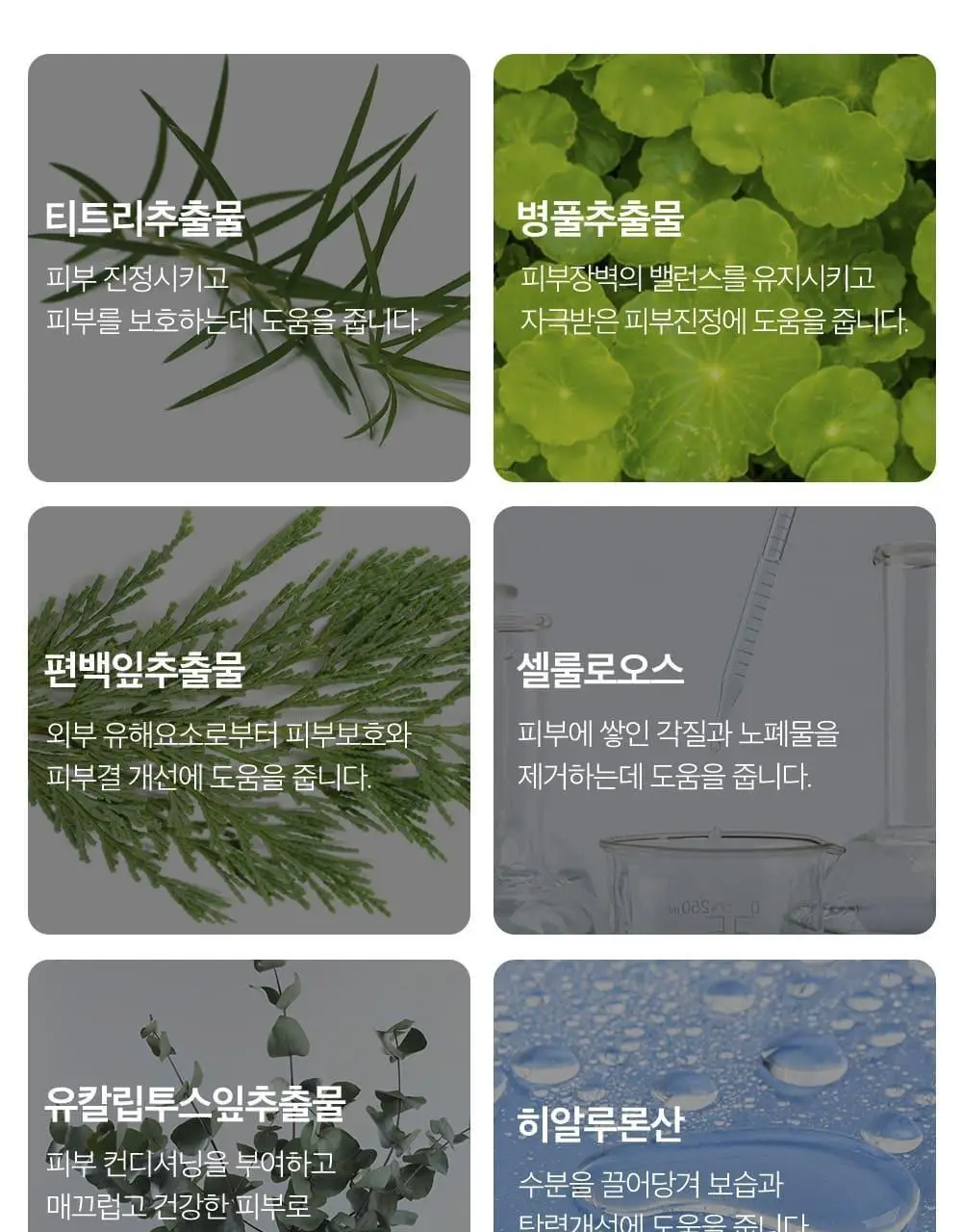 [단독기획] 록키스 티트리 필링젤 (본품120ml+60ml추가 증정) 상세페이지 15